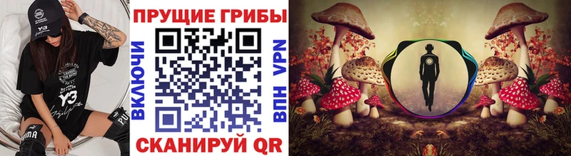 mega ссылки  Новоульяновск  Псилоцибиновые грибы мухоморы 